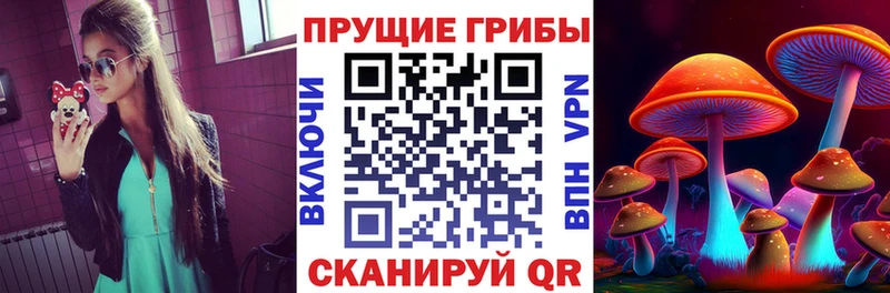 Псилоцибиновые грибы Psilocybine cubensis Салаир