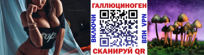 Псилоцибиновые грибы мухоморы  площадка официальный сайт  Салаир 